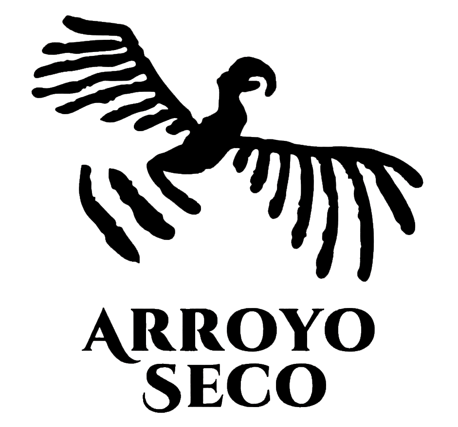 Zona Arqueológica Arroyo seco